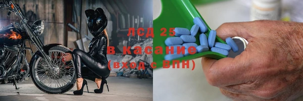 прущие грибы Нязепетровск