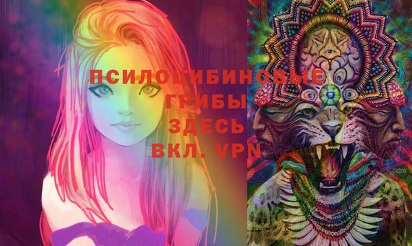 spice Осинники