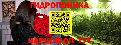 apvp Гай