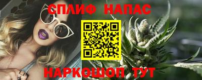 твердый Гатчина