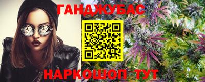 apvp Гай