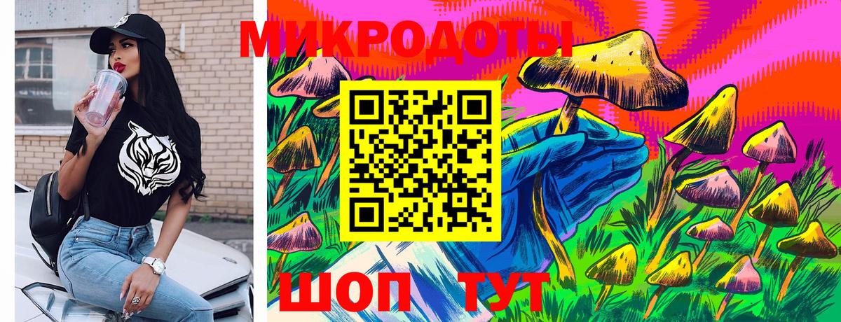 Галлюциногенные грибы Cubensis Лениногорск