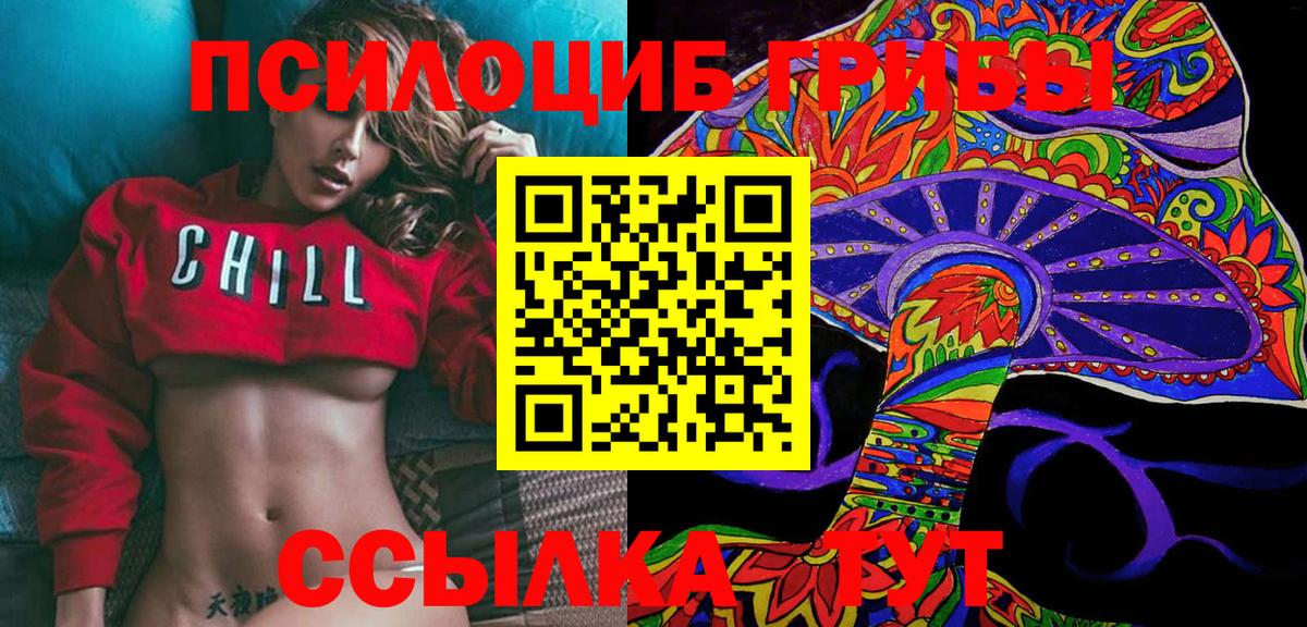 Галлюциногенные грибы Psilocybe Лениногорск