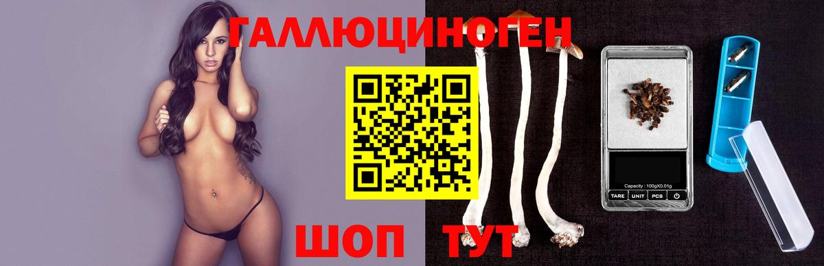 Лениногорск  как найти закладки  Вход с VPN  Галлюциногенные грибы Cubensis 